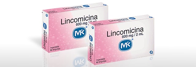 lincomicina