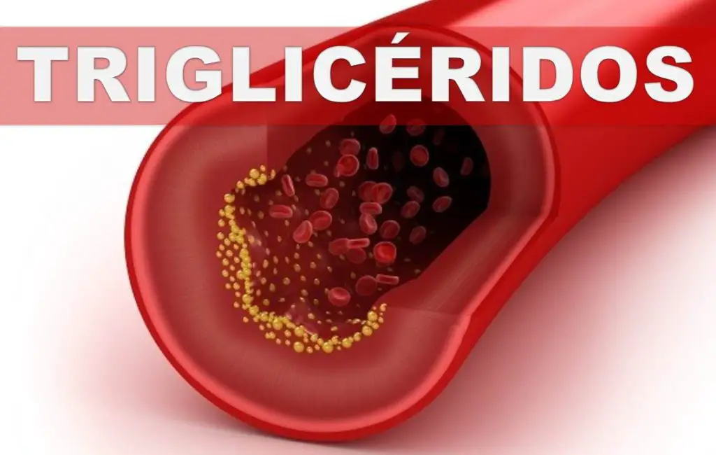 dosis para bajar colesterol y trigliceridos