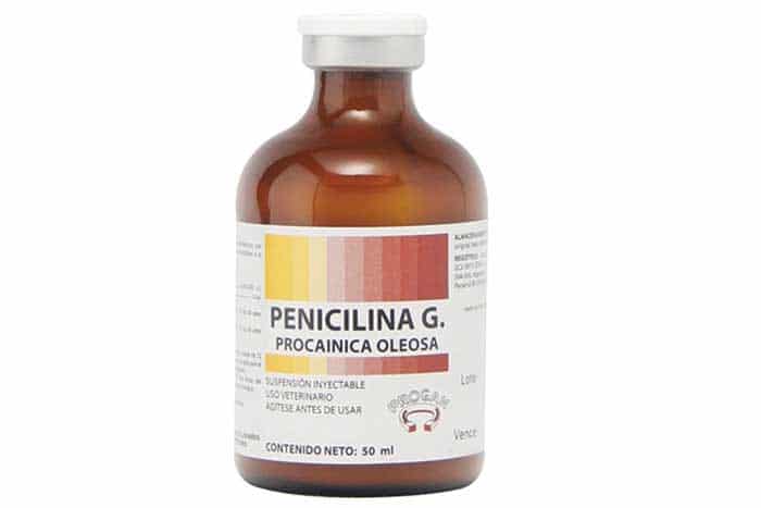 Penicilina G Nombre Comercial Farmacocinetica Farmacodinamia Y Mas