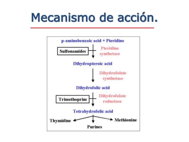 sulfametoxazol mecanismo de acción