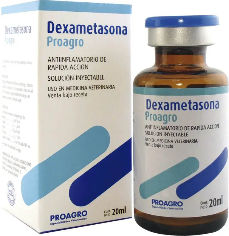 Prednisona Qué es, para qué sirve, nombre comercial y mucho más