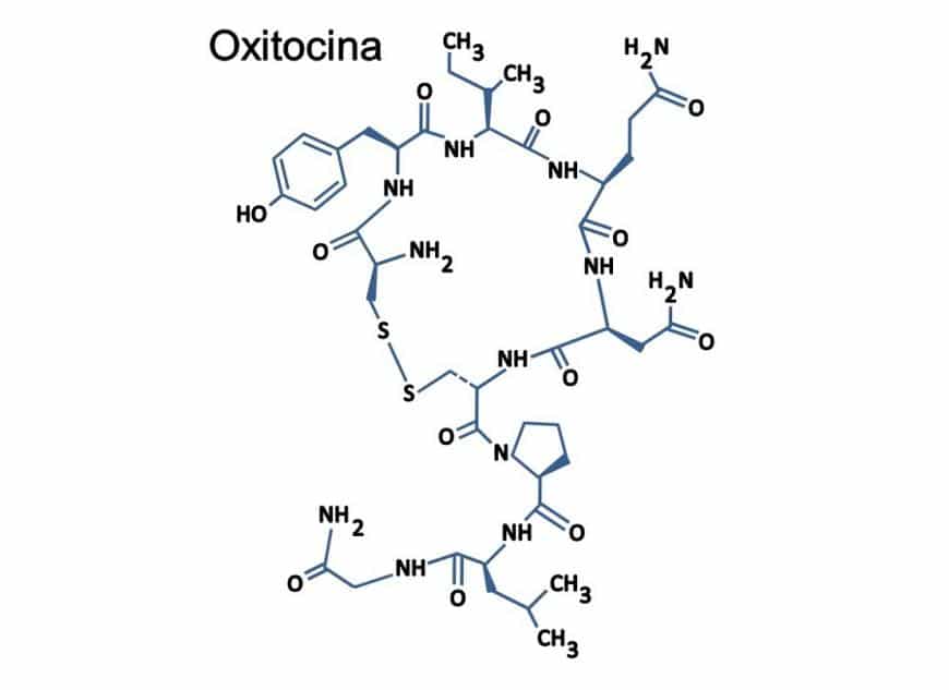 oxitocina