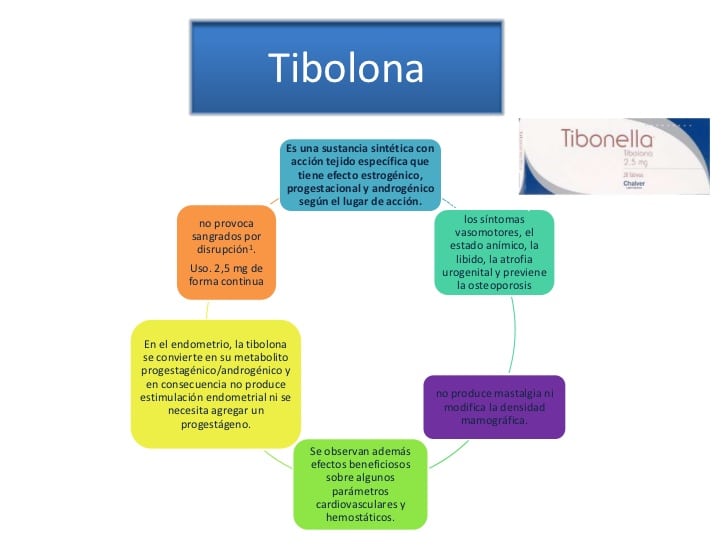 tibolona 15
