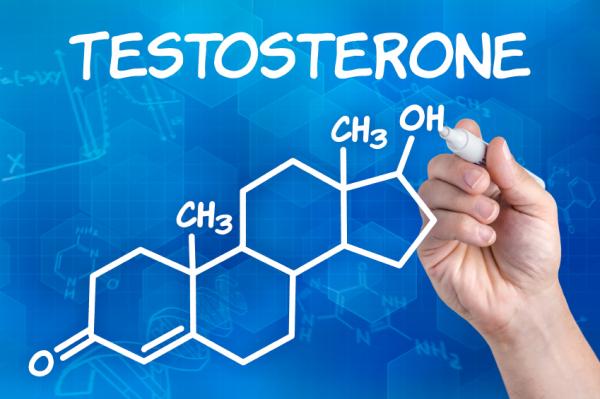 androgenos testosterona
