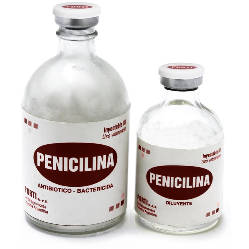 bencilpenicilina penicilina