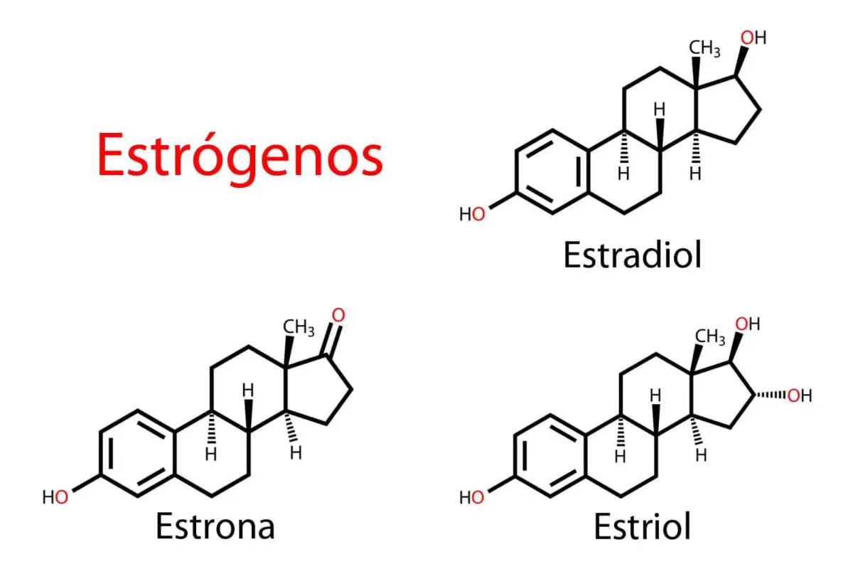estrogenos tipos