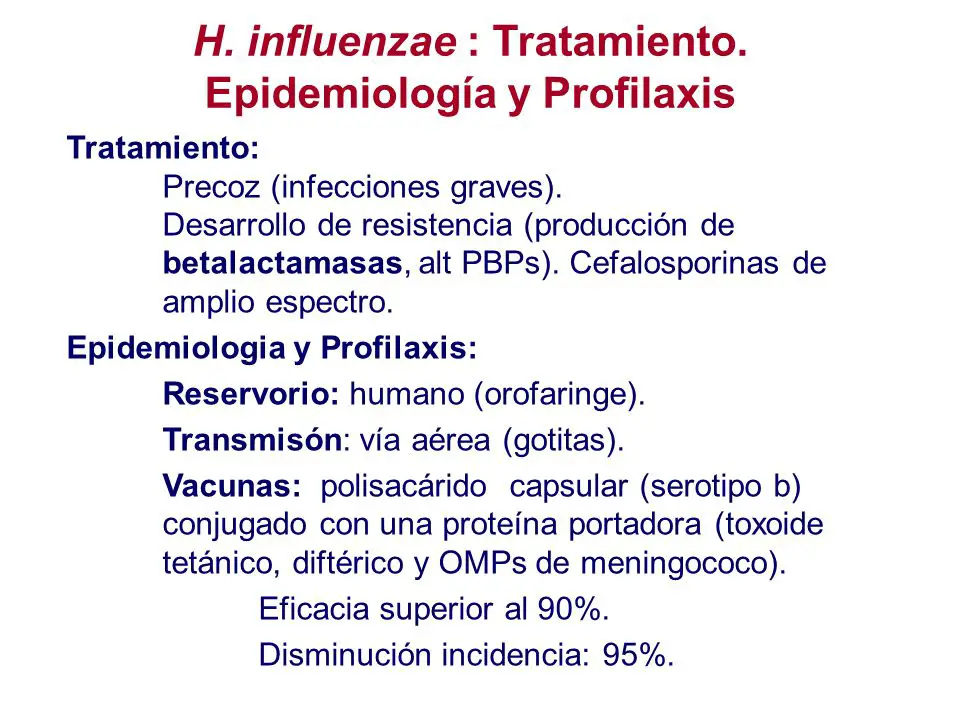haemophilus influenzae b