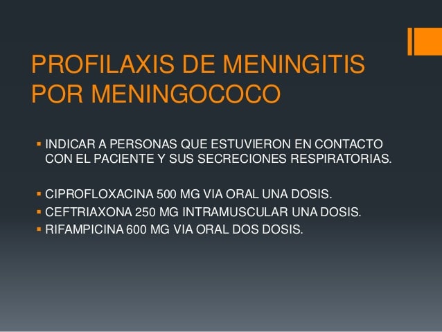 meningococo