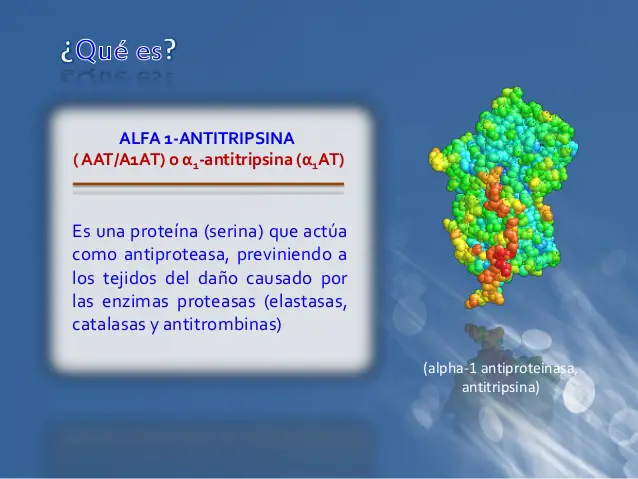 alfa 1 antitripsina