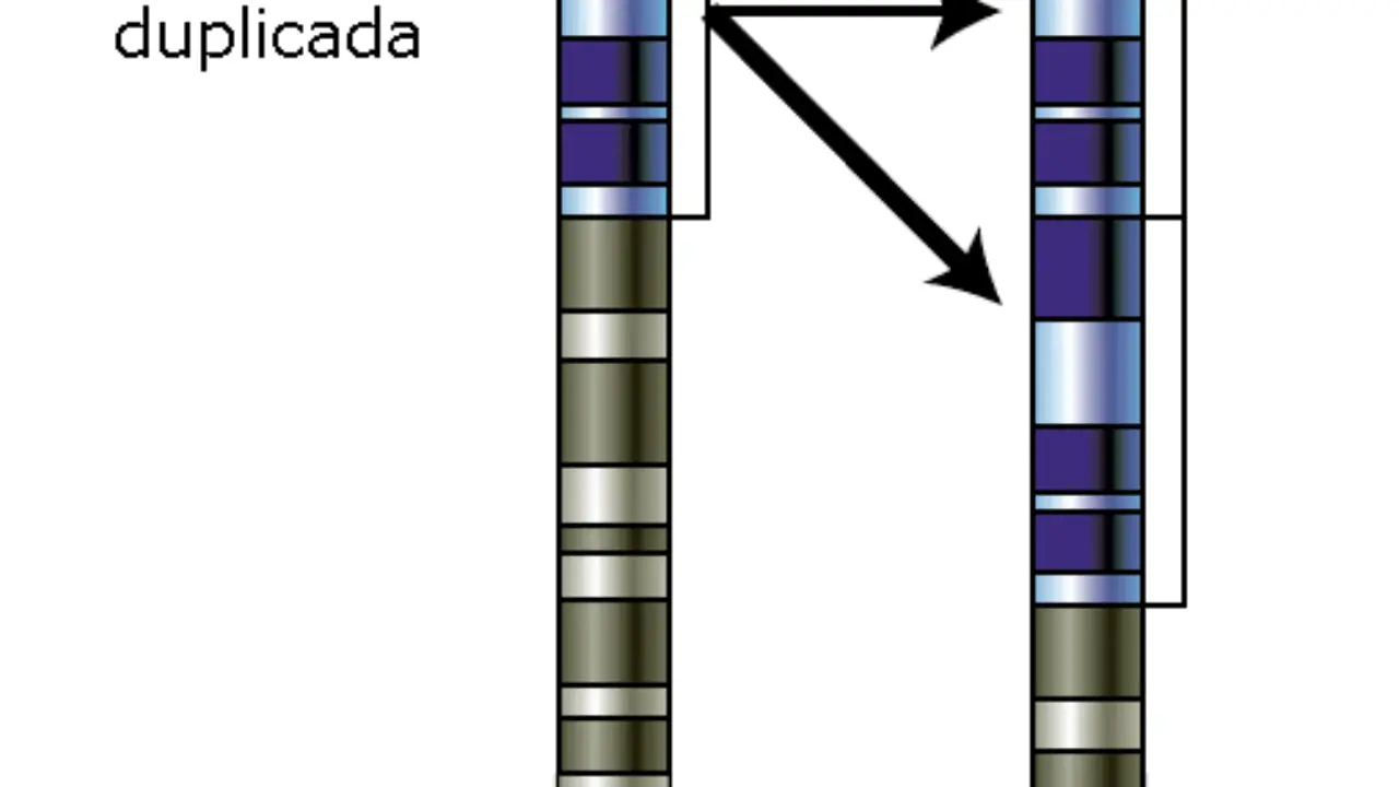 Mutación cromosómica