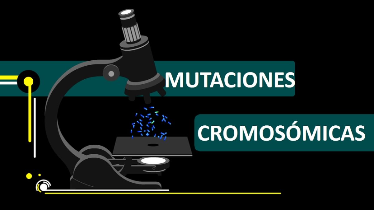 Mutación Cromosómica